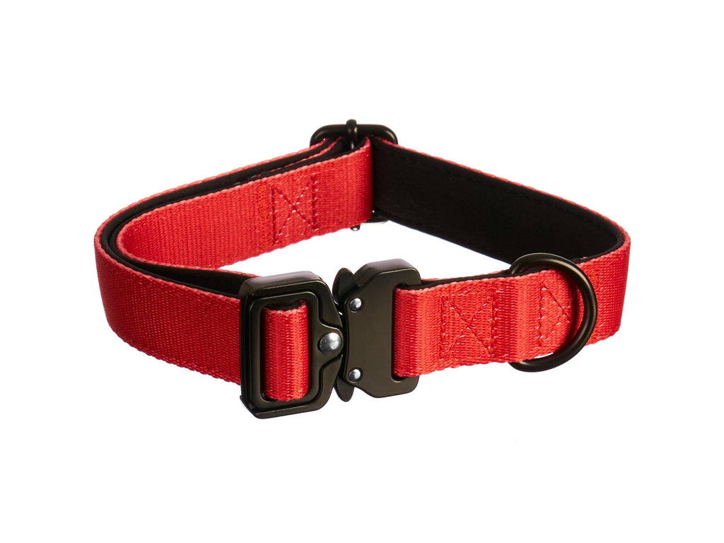 Collar - RED